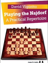 Playing the Najdorf by David Vigorito (miękka okładka)