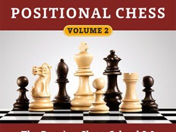 The Complete Manual of Positional Chess Vol2